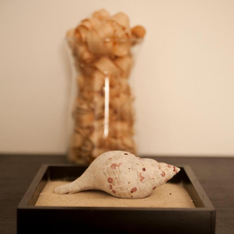 Casa Felicidad B&B Room & Kitchen Πλάγια Ντελ Κάρμεν Εξωτερικό φωτογραφία