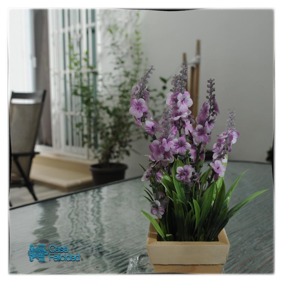 Casa Felicidad B&B Room & Kitchen Πλάγια Ντελ Κάρμεν Εξωτερικό φωτογραφία